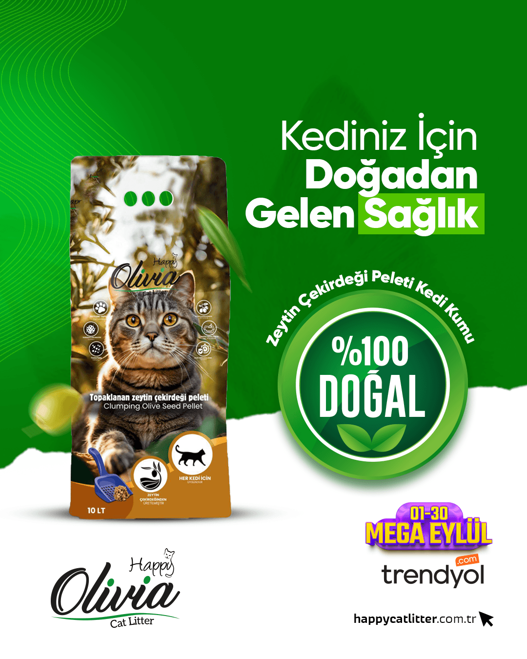 Sosyal medya görseli