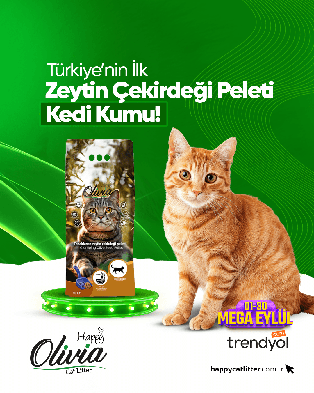 Sosyal medya görseli